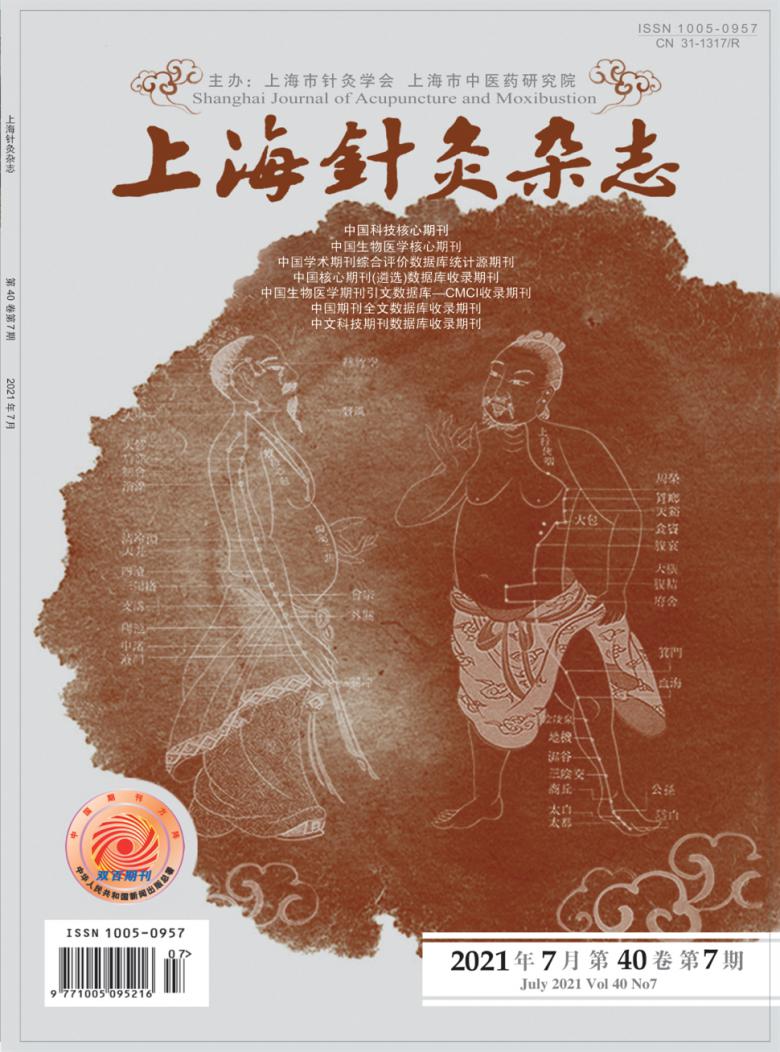 上海针灸杂志封面