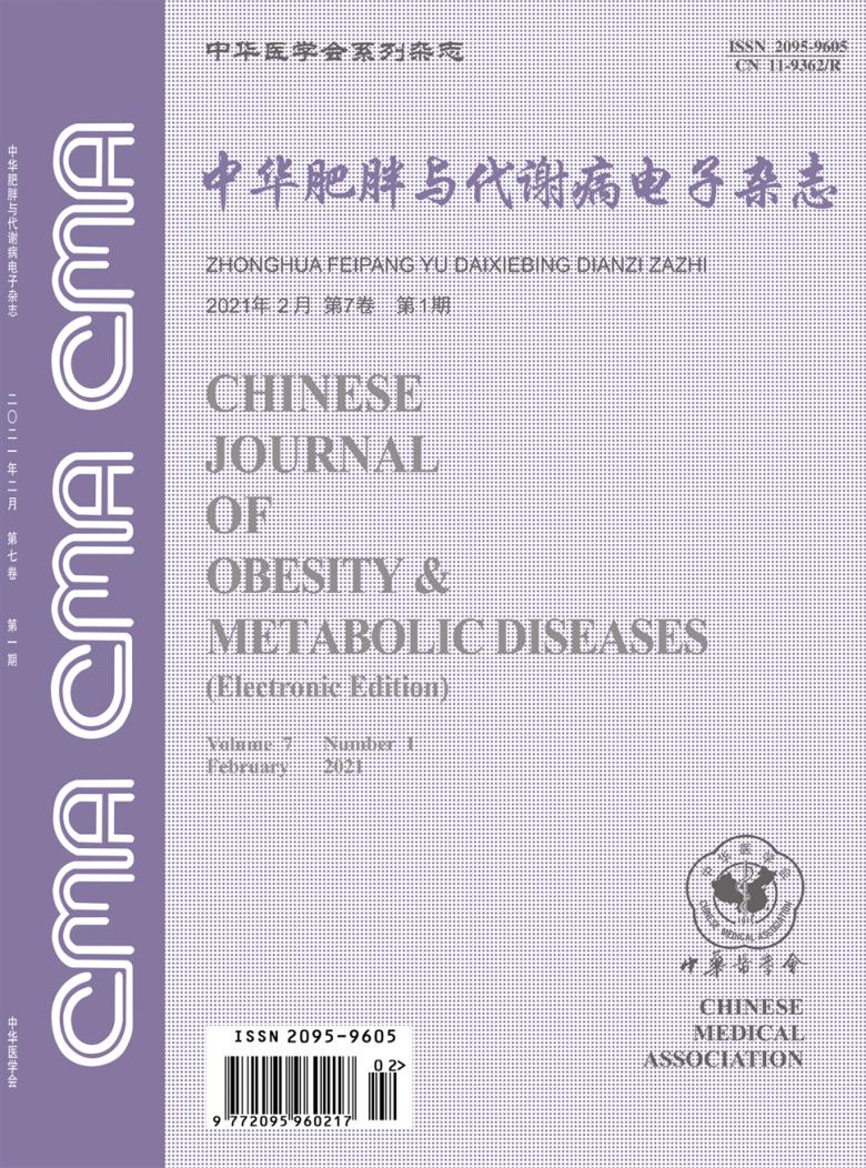 中华肥胖与代谢病电子封面