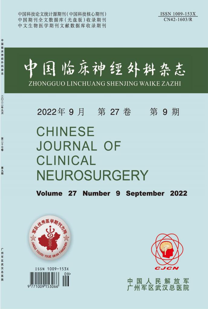 中国临床神经外科封面