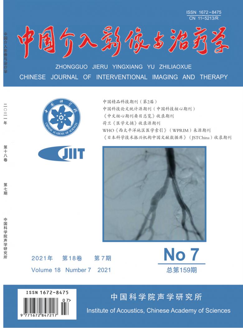 中国介入影像与治疗学杂志封面