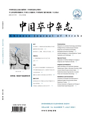 中国卒中杂志封面