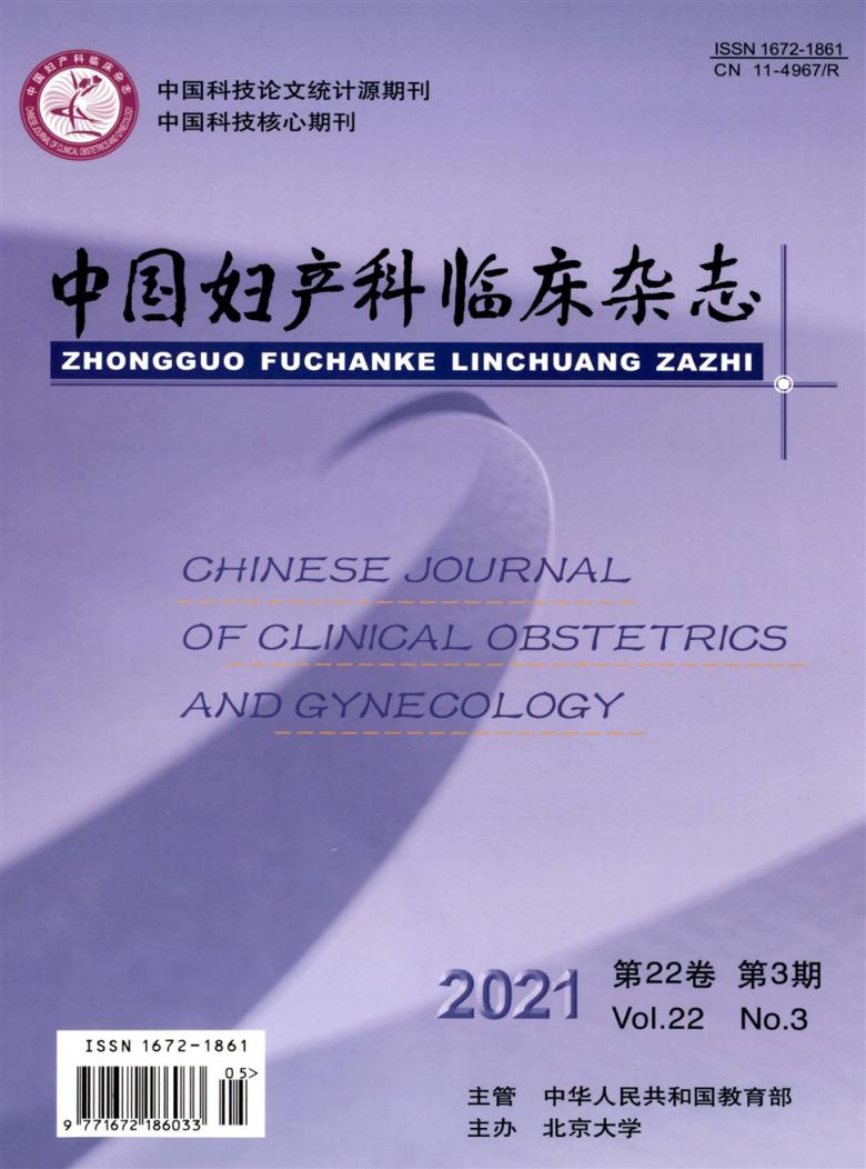中国妇产科临床杂志封面