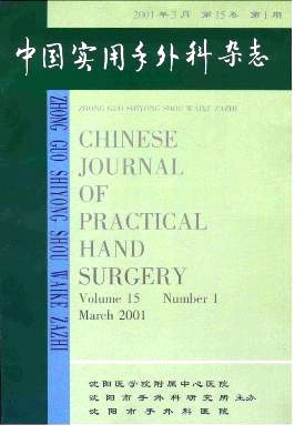 中国实用手外科杂志封面
