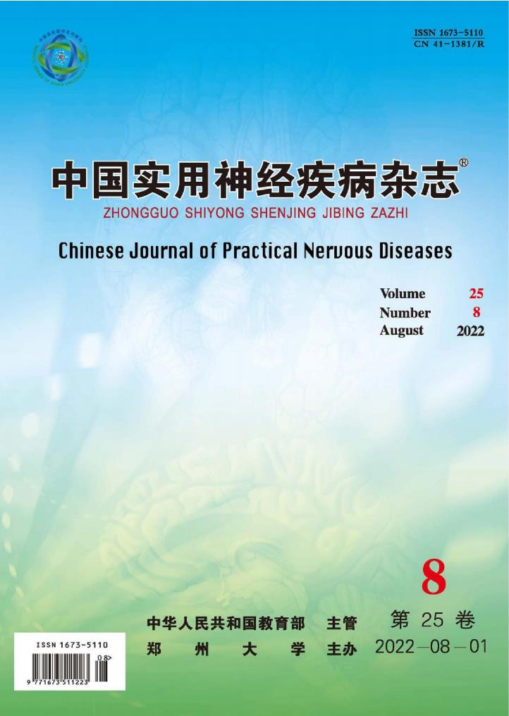 中国实用神经疾病杂志封面
