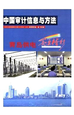 中国审计信息与方法杂志封面