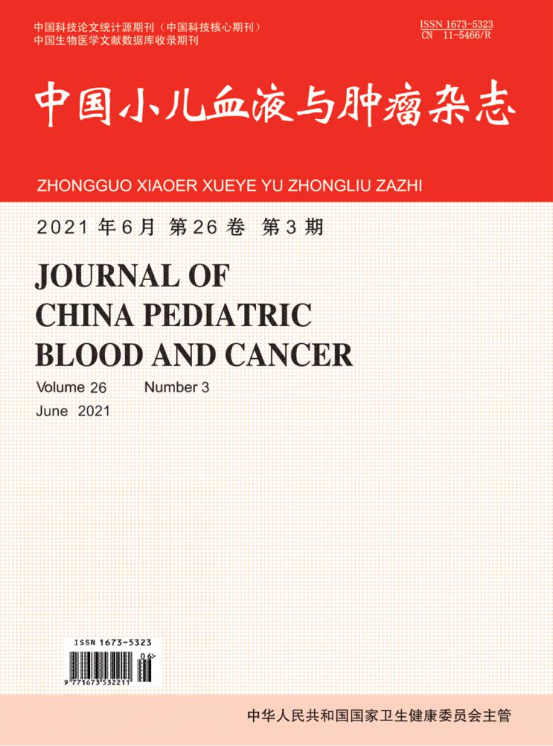 中国小儿血液与肿瘤杂志封面