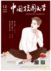 中国校园文学杂志封面