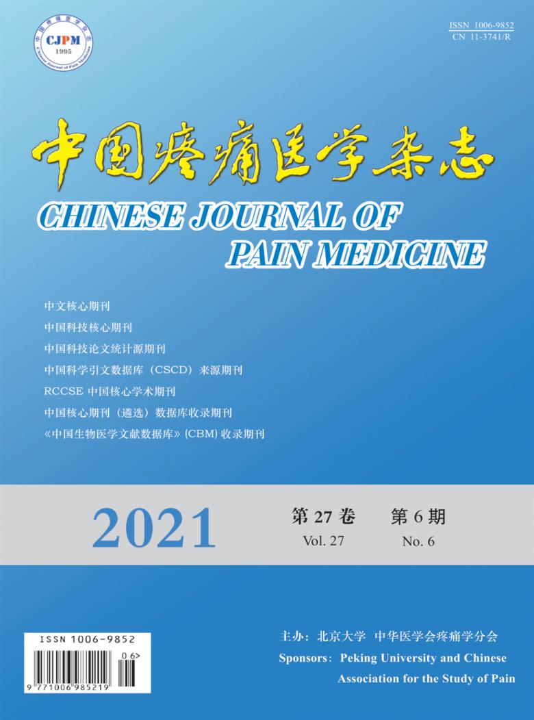 中国疼痛医学封面