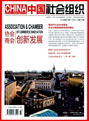 中国社会组织杂志封面