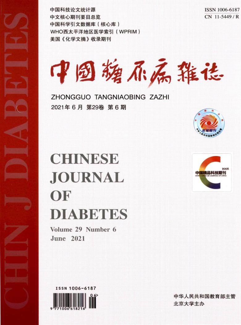 中国糖尿病杂志封面