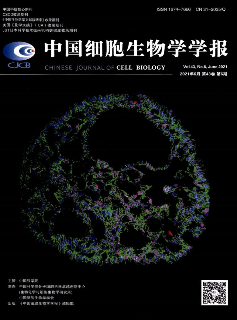 中国细胞生物学学报杂志封面