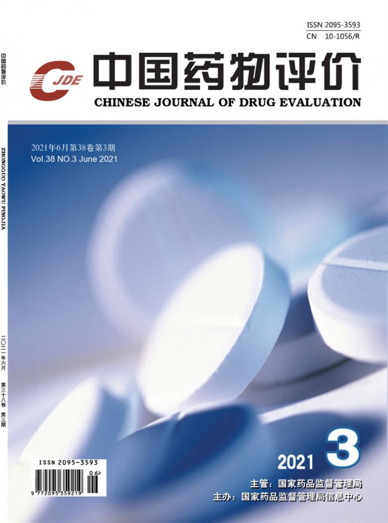 中国药物评价封面