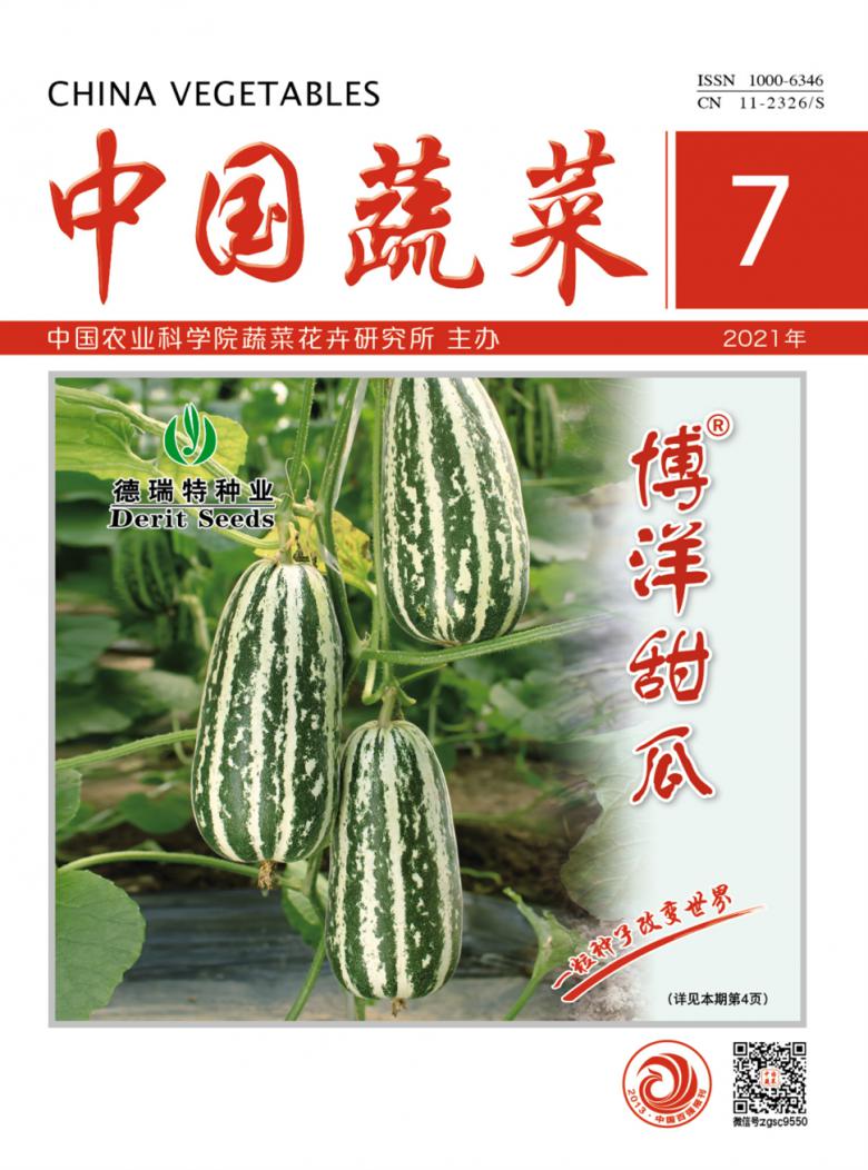 中国蔬菜杂志封面