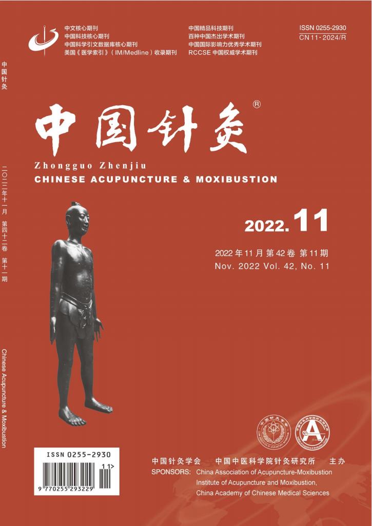 中国针灸杂志封面
