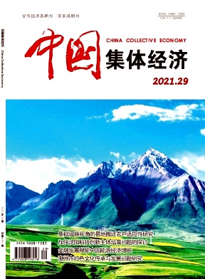 中国集体经济杂志封面