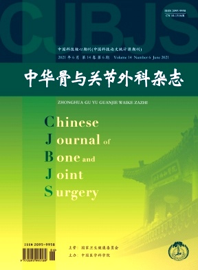 中国骨与关节外科杂志封面