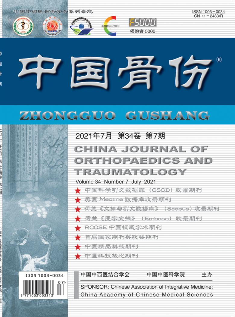中国骨伤杂志封面