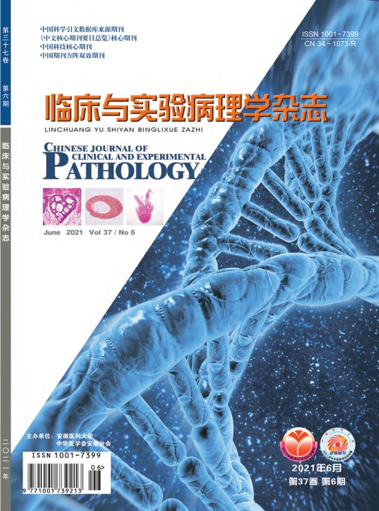 临床与实验病理学封面