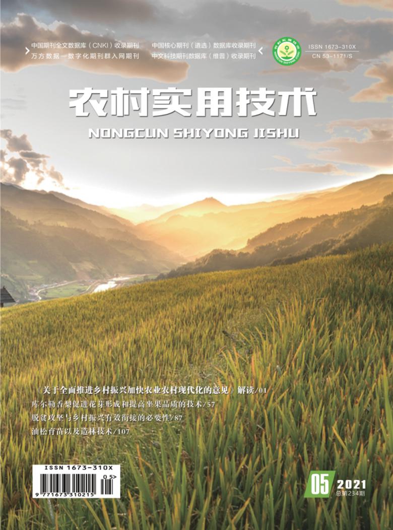 农村实用技术杂志封面