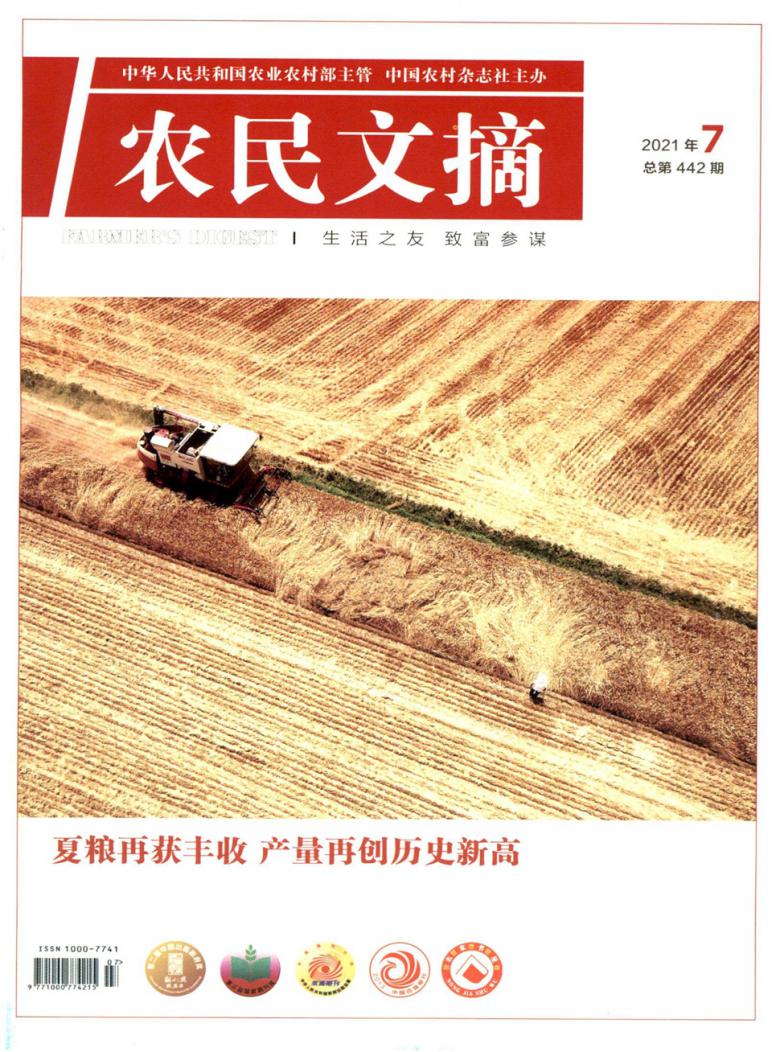 农民文摘杂志封面