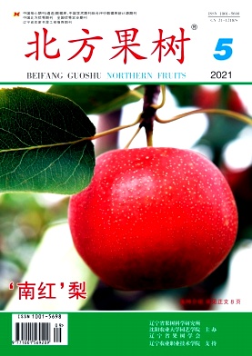 北方果树杂志封面