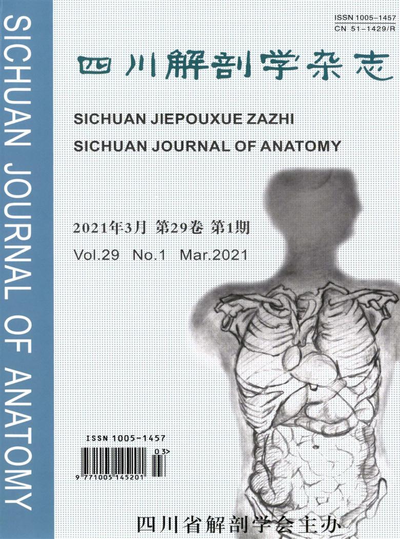 四川解剖学封面