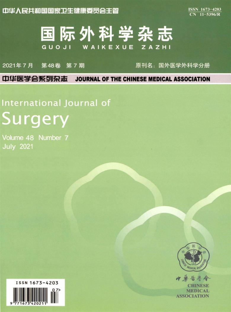 国际外科学杂志封面