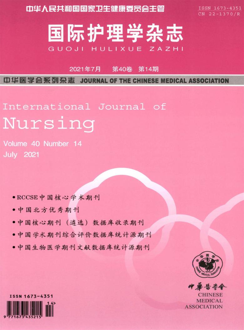 国际护理学封面