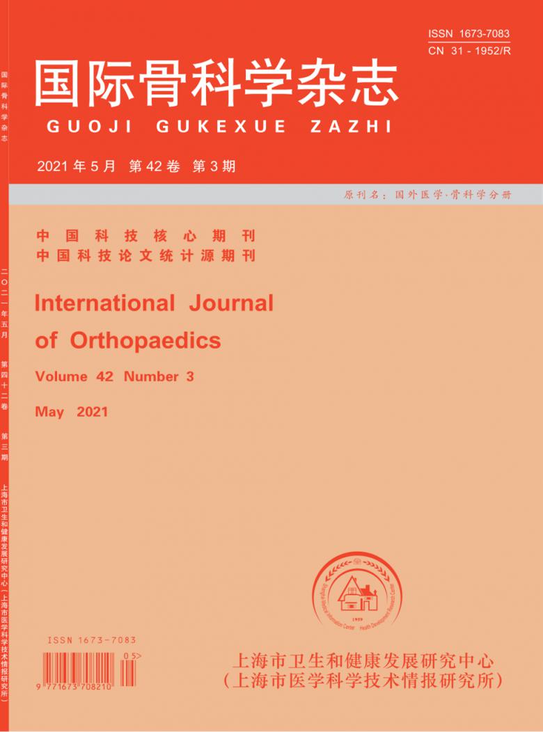 国际骨科学封面