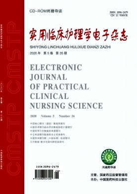 实用临床护理学电子杂志封面