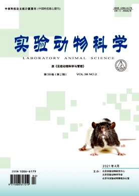 实验动物科学杂志封面