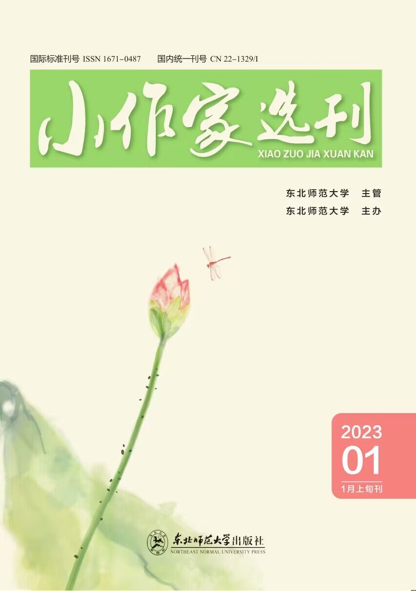 小作家选刊杂志封面