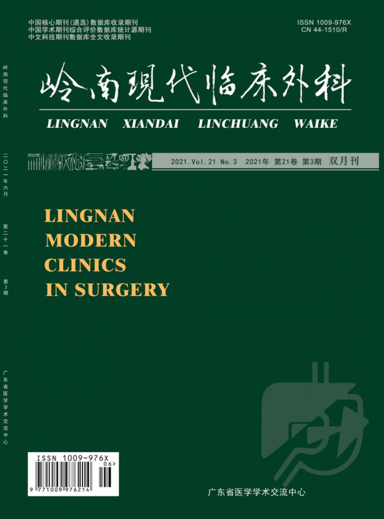 岭南现代临床外科杂志封面