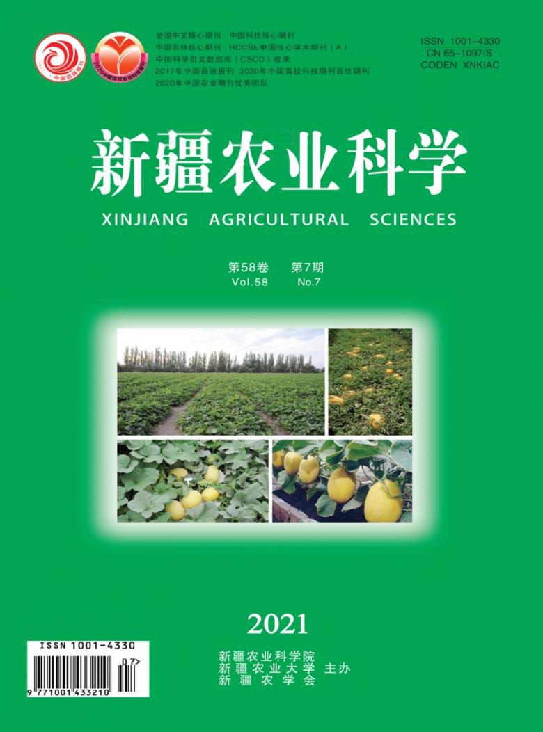 新疆农业科学封面