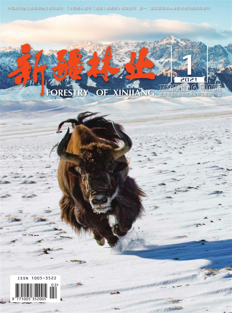新疆林业杂志封面