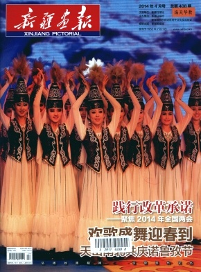 新疆画报杂志封面