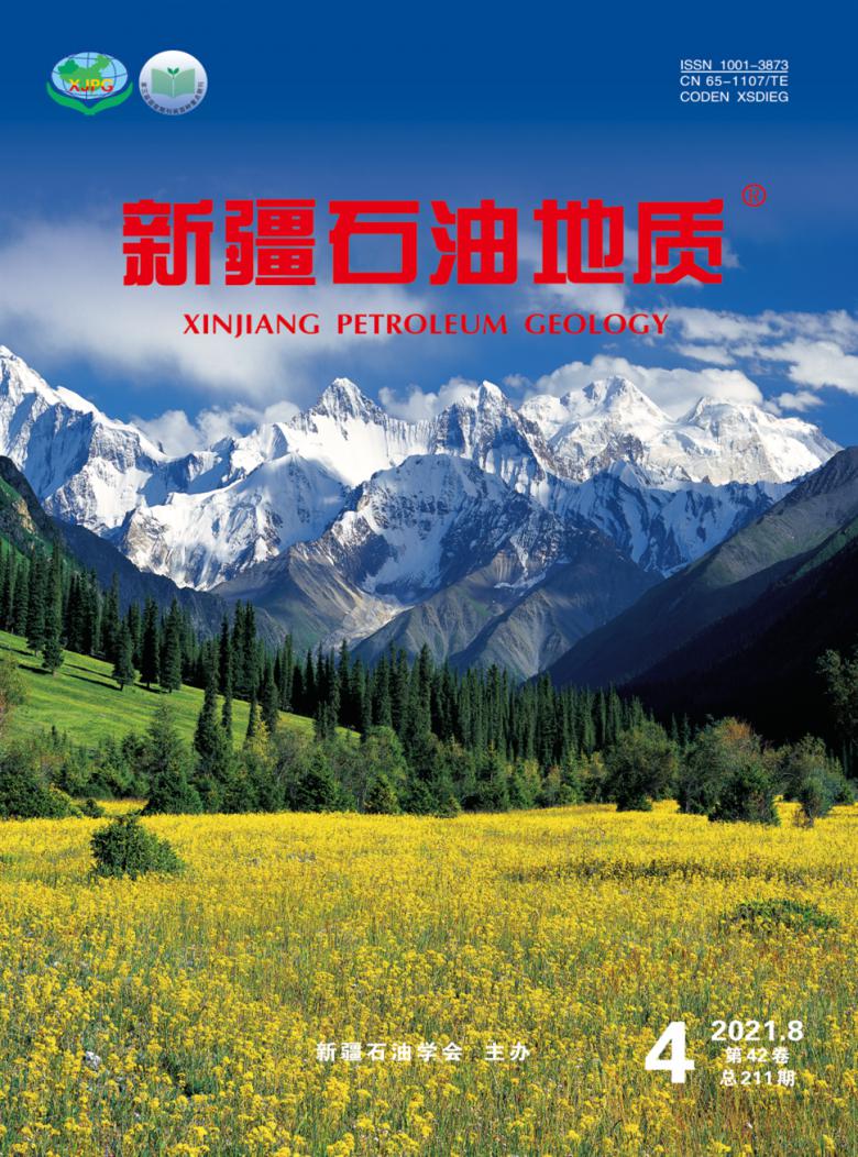 新疆石油地质杂志封面