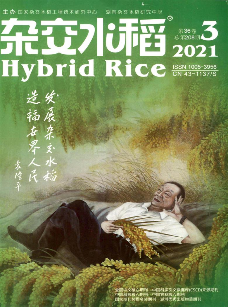 杂交水稻杂志封面