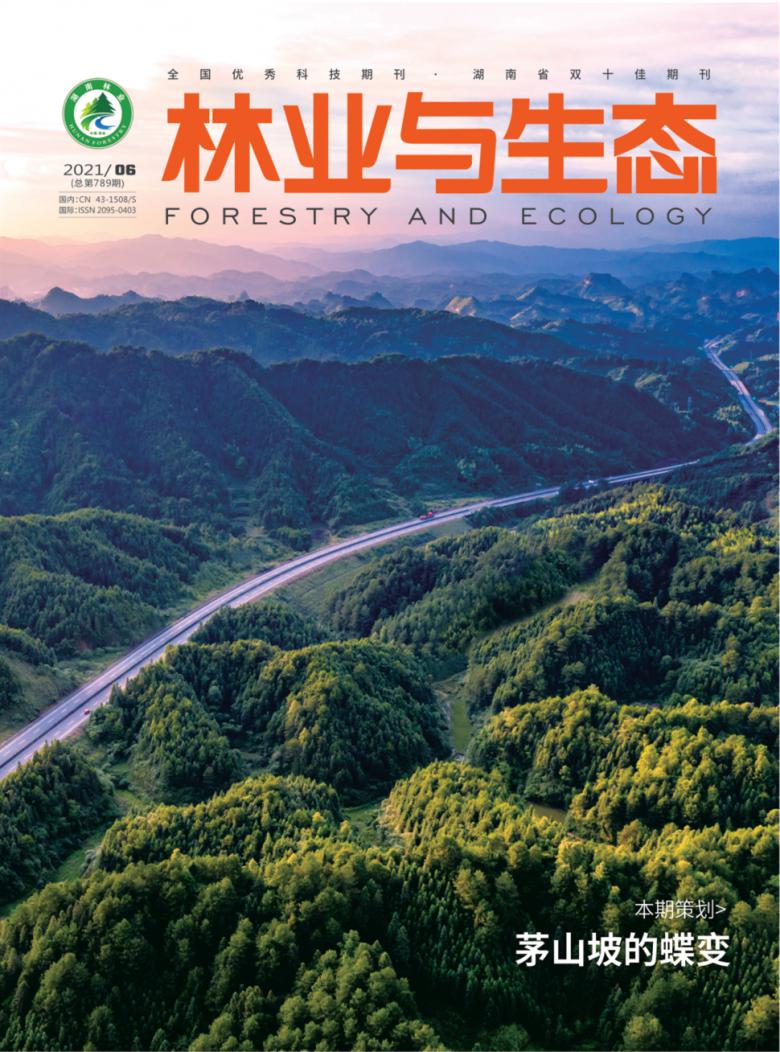 林业与生态杂志封面