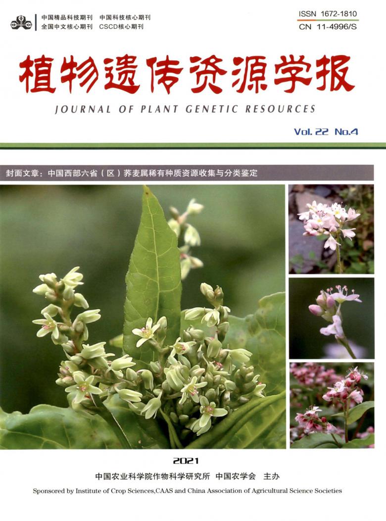 植物遗传资源学报杂志封面