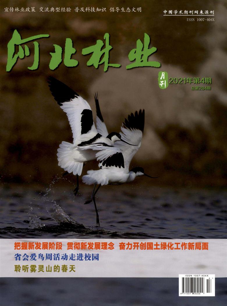 河北林业杂志封面
