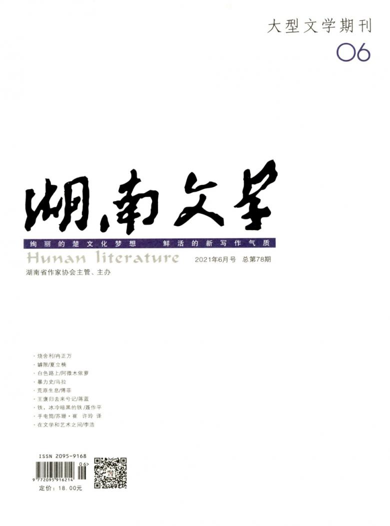 湖南文学封面