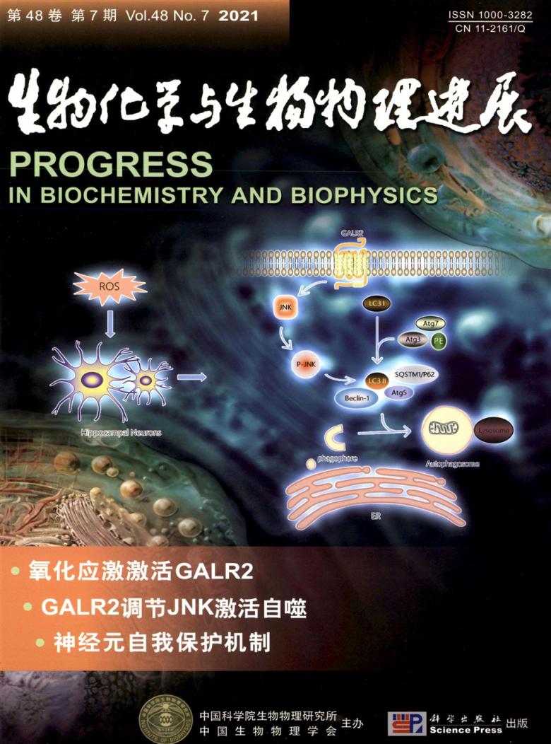 生物化学与生物物理进展杂志封面