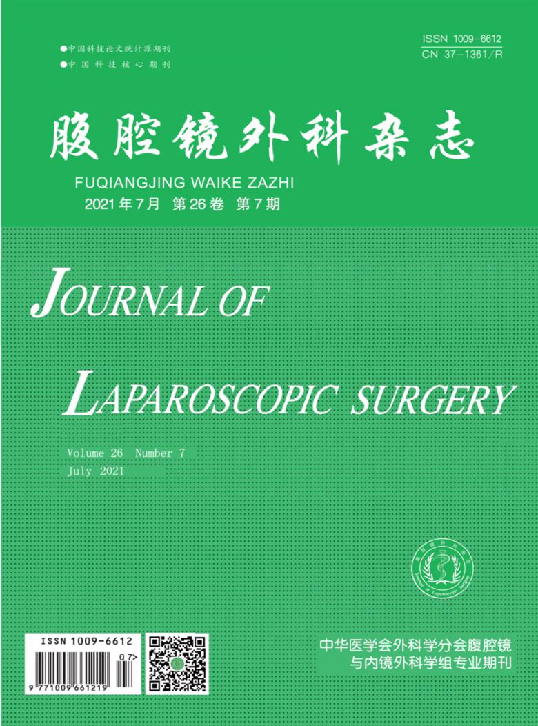 腹腔镜外科杂志封面