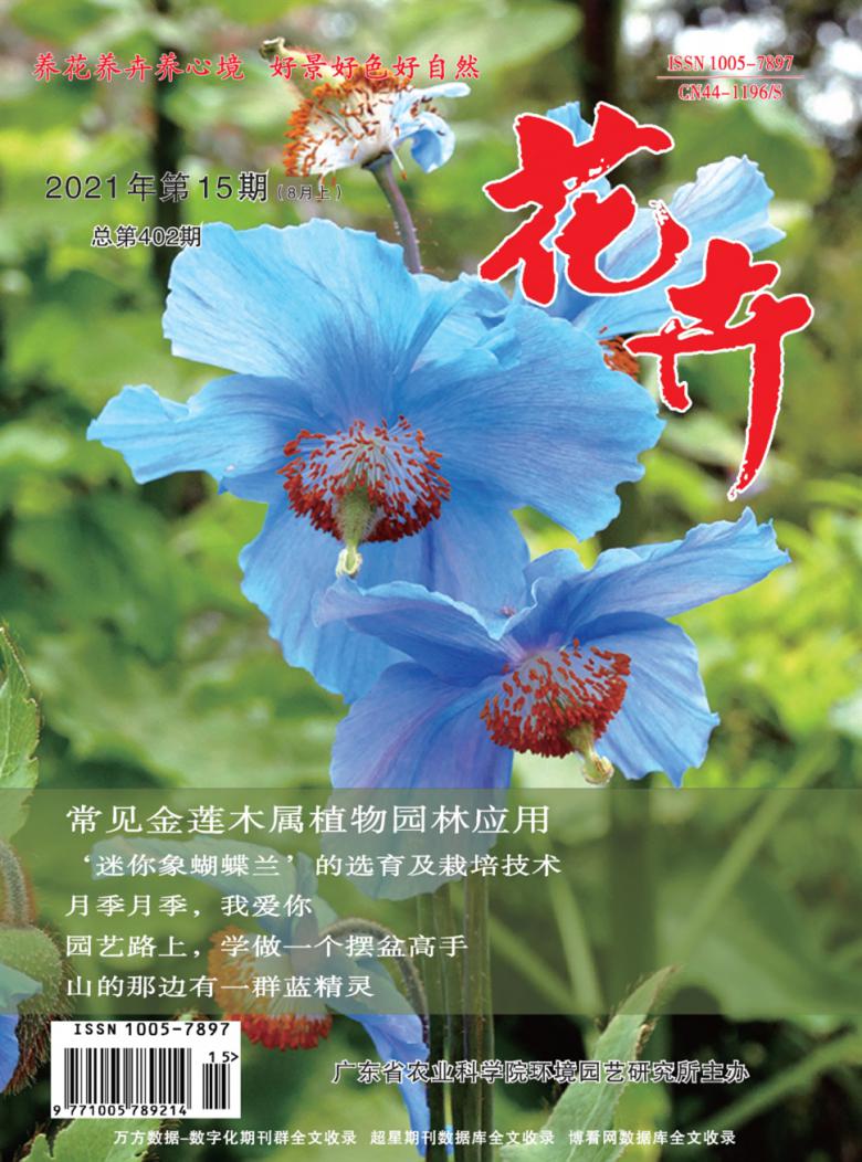 花卉杂志封面