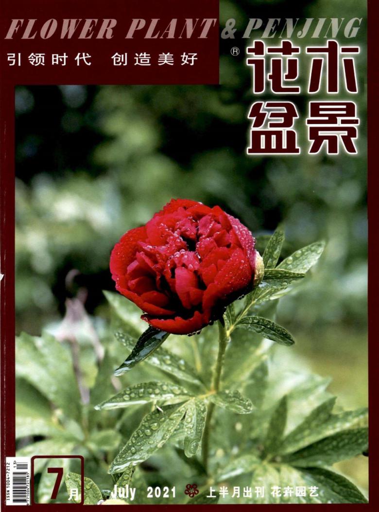 花木盆景杂志封面