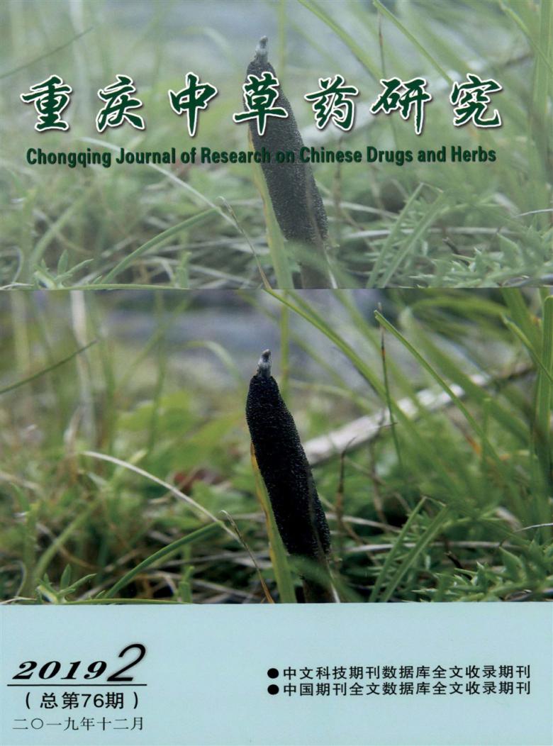 重庆中草药研究封面