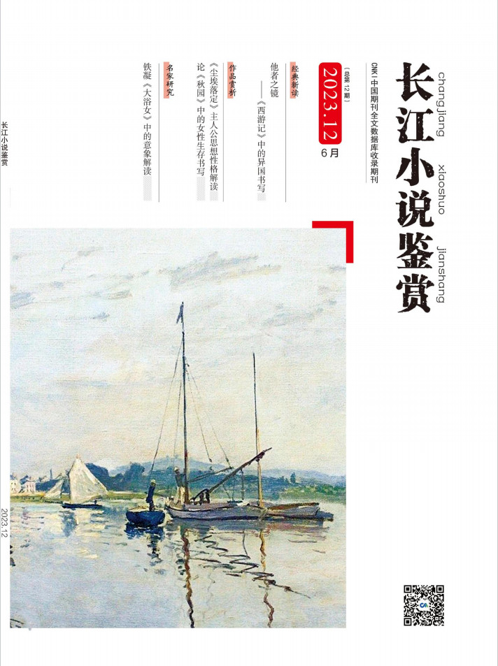 长江小说鉴赏杂志封面
