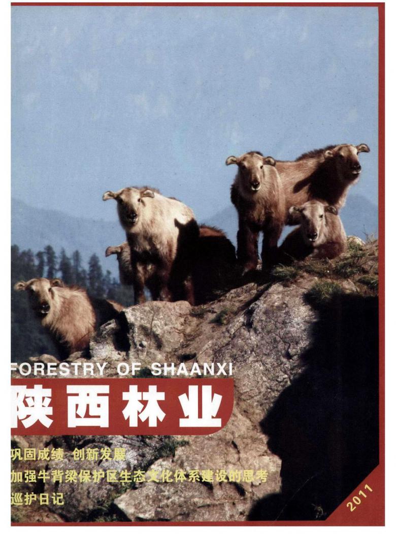 陕西林业杂志封面